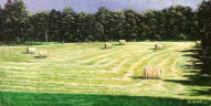Hay Bales in My Field